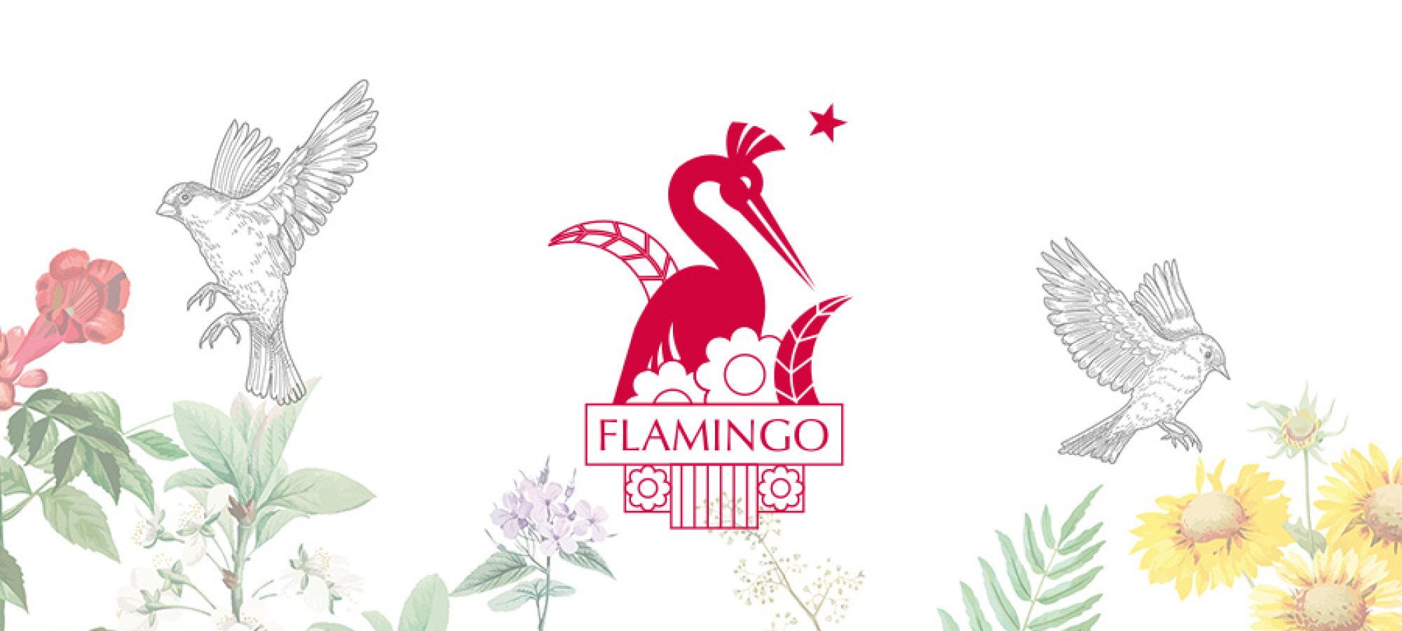 Flamingo Communications, agence de communications